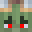 SmolToki's head