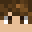 LintyRobinYT's head