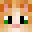 DantheCat's head