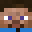 _wfh's head