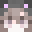 GracieEFN's head