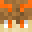 Mineblocker0817's head