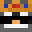 DerKryptoPingu's head