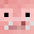 AWastedPig's head