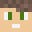 Radu33's head