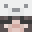 MiniNiller1678's head