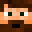 TSLAtoMOON's head