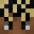 Xroke209X's head