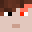GeneralVik's head