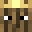 Woten2045's head