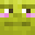 SolePlains34026's head