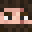 Technoblade20's head