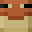 bearhunterT1's head