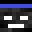 ARPIVI's head