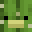 kisnt's head