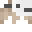 kl9eo1n2022's head