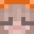 NickiTricki's head
