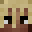 sonogio6's head
