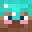 patrycolo's head