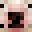 psycocholo's head