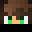 wWolfey's head