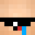 RobinRobbeGaming's head