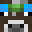 caow's head