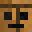 Axoli_fr's head