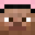 turtleign's head