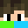 Tim13SR's head