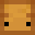 True_Toasty's head