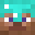 nohomies's head