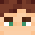 Arvil_fs's head