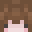 McSwiper's head