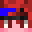 Dolfin1's head