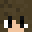 SHENR1's head