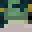 SalmonMAN1234's head