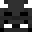 wtfponcho's head