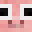 Coolcalbri09's head