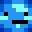 xelnox's head