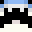 Ninjacookievr's head