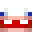 Buunny_MC's head