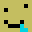 MineNoob14232's head