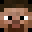 Vanevi's head