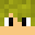 Lenjka's head