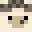 cowbayTIGER's head