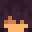 Alnii's head