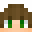 Gatorr_'s head