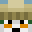 NVSCAR's head