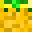 Pineapple2015's head